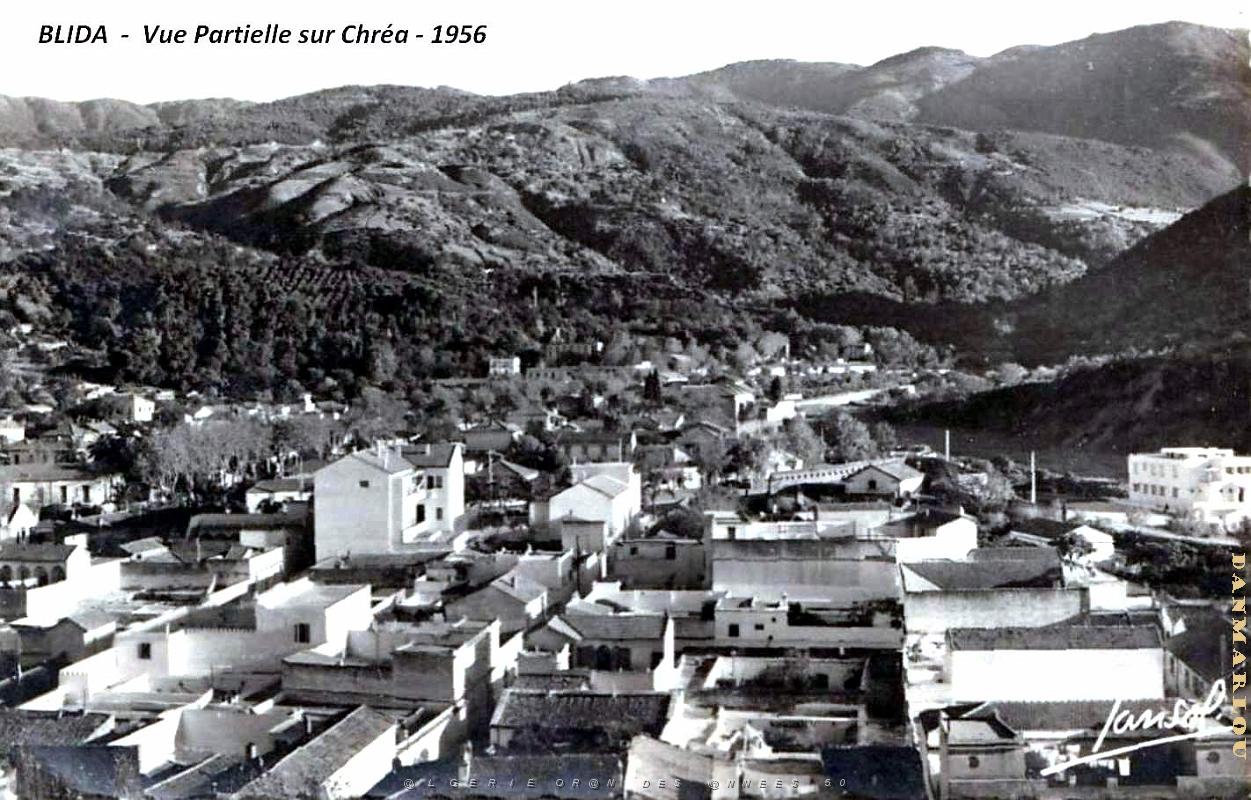 Blida - Vue partielle sur Chrea - 1956.jpg